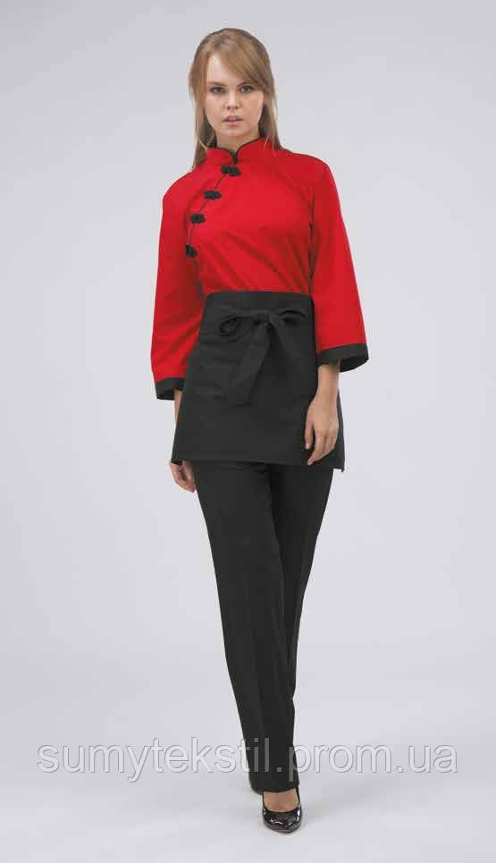 A set of clothes for a teacher. Shirt, vest, apron, Clothing for a service worker